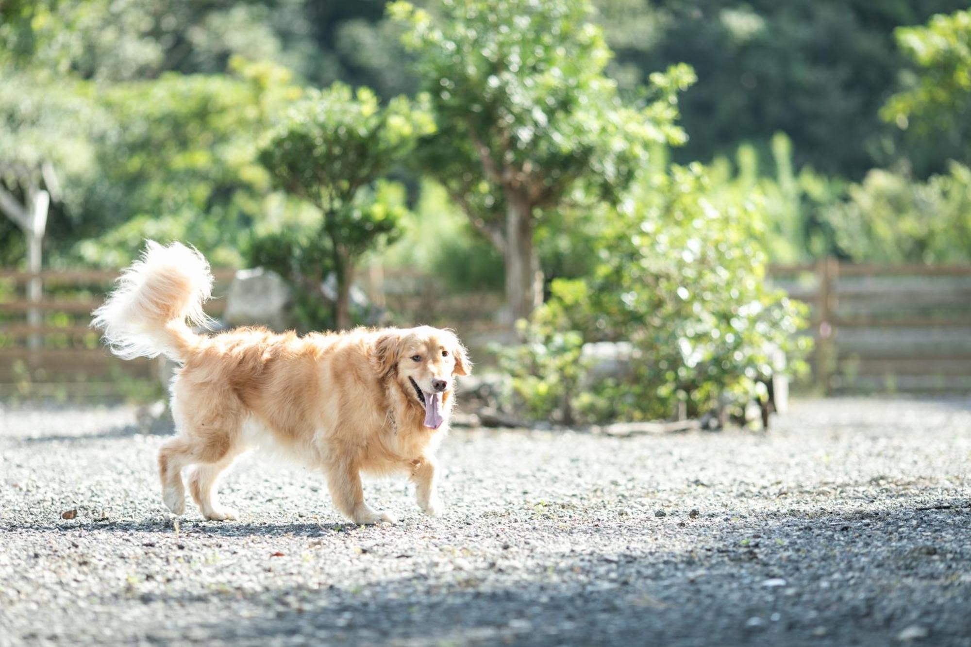 菲奥雷志摩山林小屋 志摩市 外观 照片